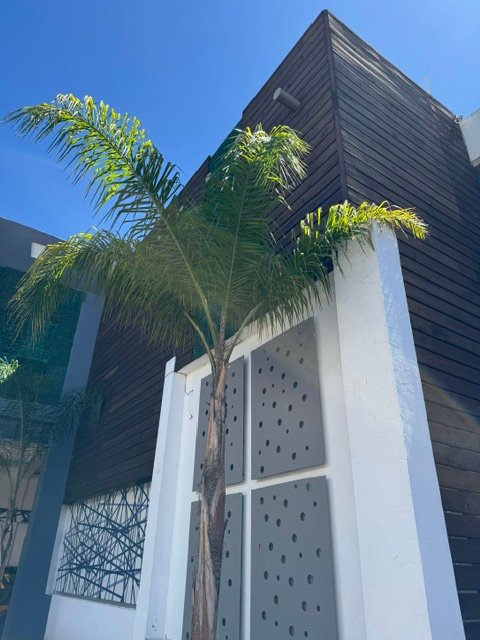 Habitación de Hotel Monarca